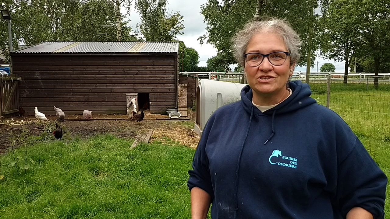 Aubel: elles sauvent les poules de l'abattoir