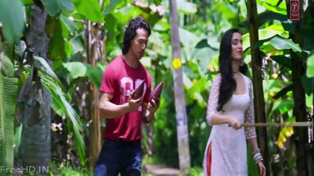 Girl_I_Need_You_HD baghi movie song