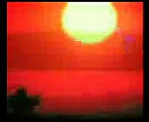 Reino Raines, la foresta