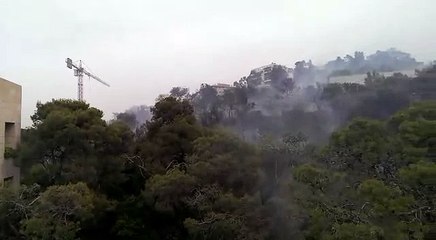 Un énorme incendie ravage les forêts de Baabda
