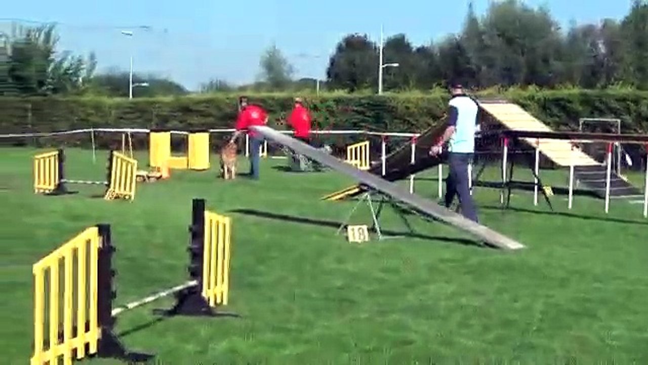 Tara MHSV 28 sept 2013 Estafette