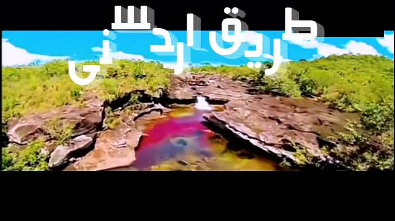 ماتت أمه وعليها صيام~ الشيخ صالح المنجد.