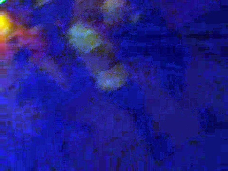 Anniversaire chica 19 ans superbes moments ! 4