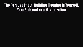 Read The Purpose Effect: Building Meaning in Yourself Your Role and Your Organization Ebook