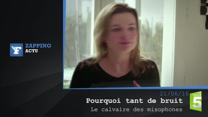 Zapping TV : Michel Houellebecq, sa télé et ses légumes