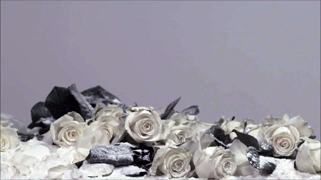 Leandro Yamamoto - Evan