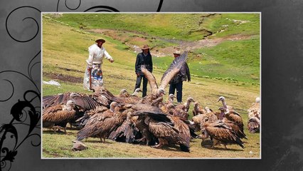 Öldükten Sonra Yapılan En İLGİNÇ 5 Adet
