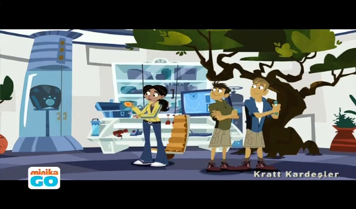 Kratt Brothers Fireflies