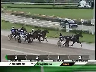 25/02/2013, Palermo , Premio Aquisgrana