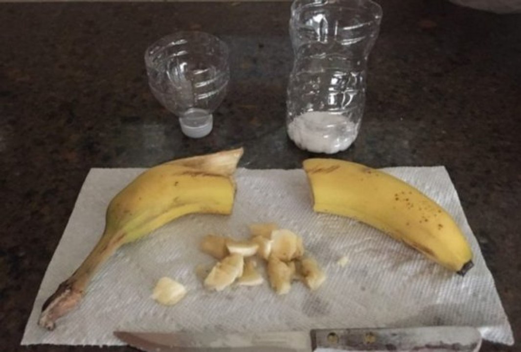 URADI SAM: Zamka za muve