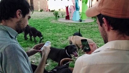 Can We Auto-Correct Humanity?