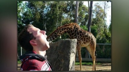 30 Funny Photos Taken At The Right Moment