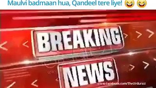 Real Truth about Qandeel Baloch &  Mufti Qavi (Latest News)