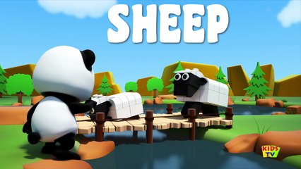 Bao Panda | Learn Animals | Animal sounds song | Nursery Rhymes | Baby Songs