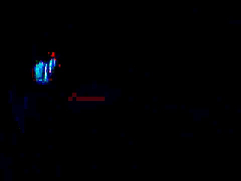 Vadakadu Festival 25