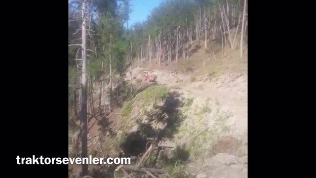 tümosanın gücünü bilmeyenler izlesin