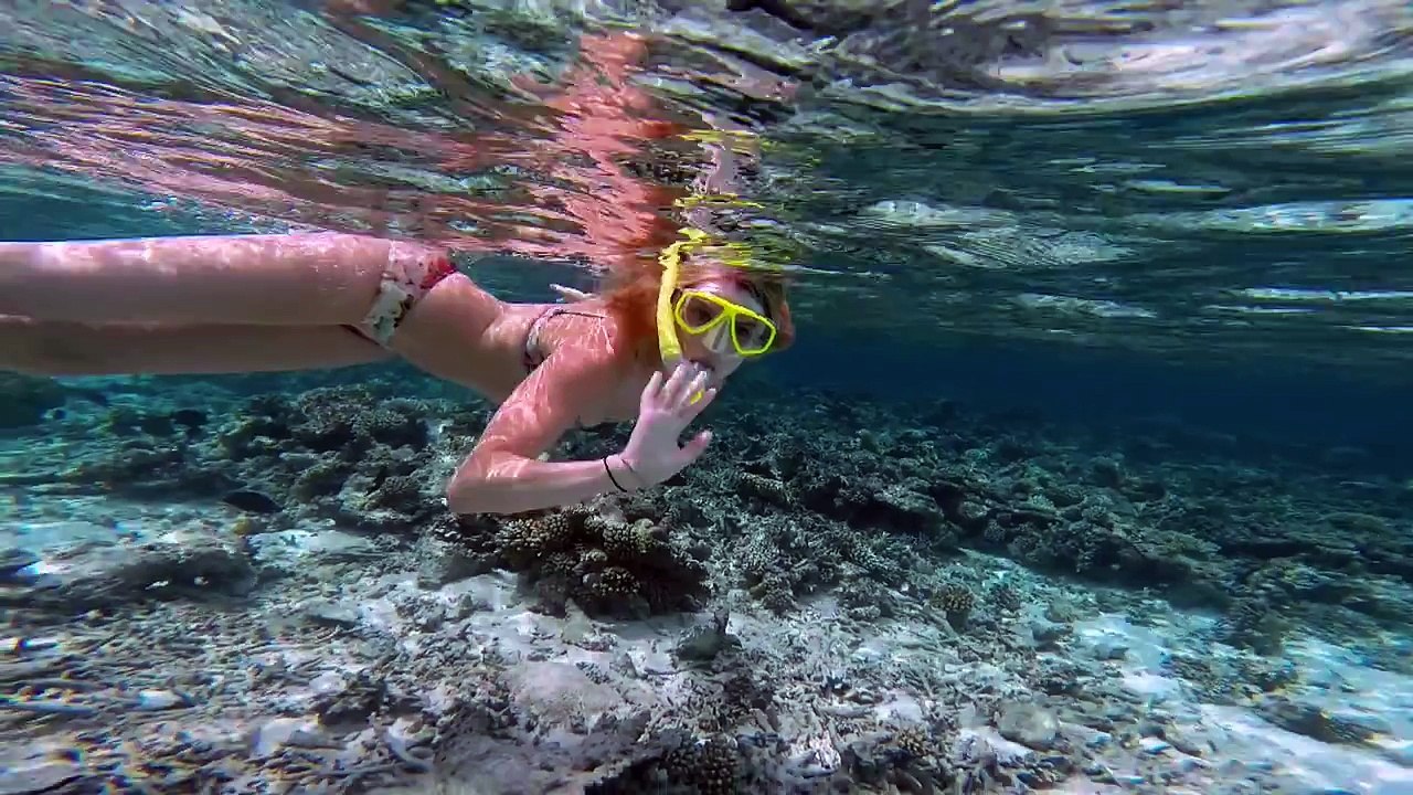 The Chainsmokers - Roses ft. Rozes