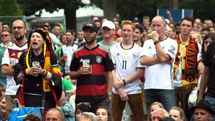 Groupe C - Les Nord-Irlandais célèbrent malgré la défaite