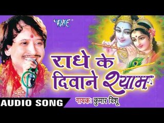 मीरा दीवानी | Meera Deewani- Deewani | Radhe Ke Diwane Shyam | Kumar Vishu | Hindi Krishan Bhajan