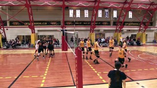 Guelph Gryphons vs Waterloo Warriors - Men's Volleyball Highlights