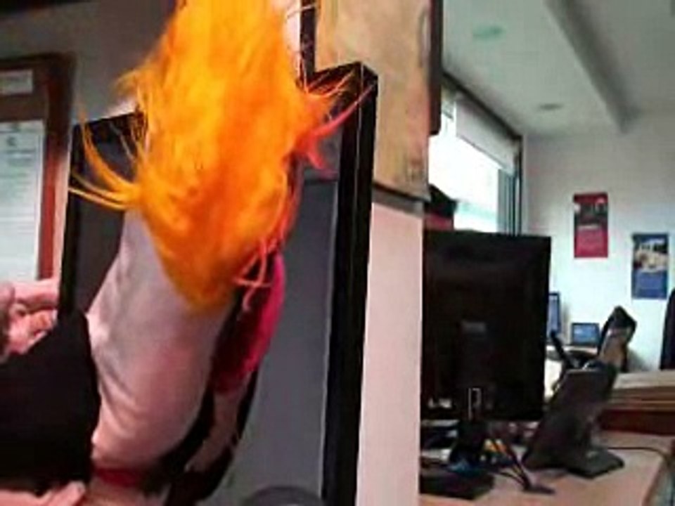 29 Video actitud de servicio