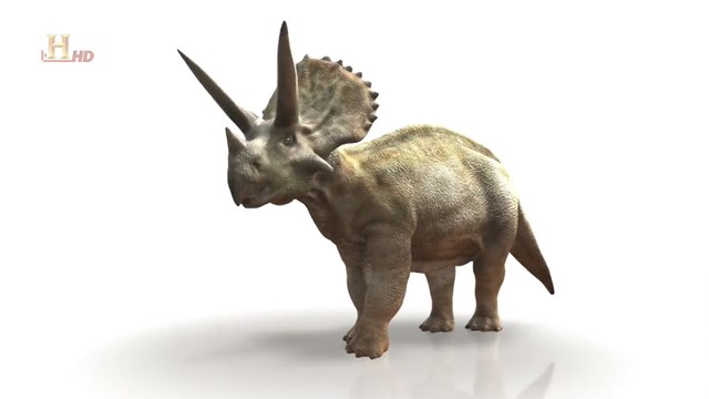 Эволюция. Битва за жизнь 05. Кожа