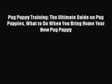 PDF Pug Puppy Training: The Ultimate Guide on Pug Puppies What to Do When You Bring Home Your