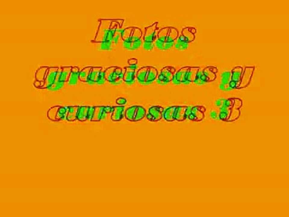 fotos graciosas y curiosas 19