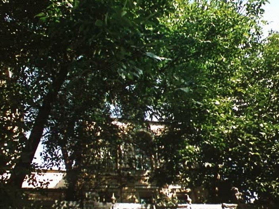 Под кронами московских бульваров