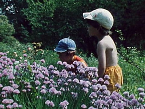 Проспект Мира