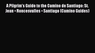 Read A Pilgrim's Guide to the Camino de Santiago: St. Jean â€¢ Roncesvalles â€¢ Santiago (Camino