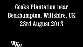 Crop circles 2013: Cooks Plantation, nr Beckhampton, Wiltshire, UK - 23 August