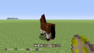 Minecraft: Rip pony