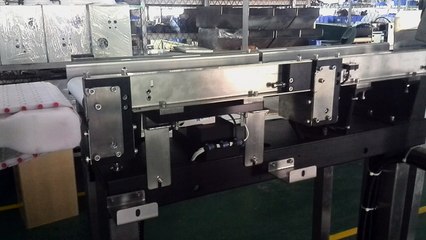 3. Remove the sensor protecting frame