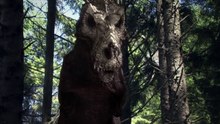 Biggest T Rex BATTLES!