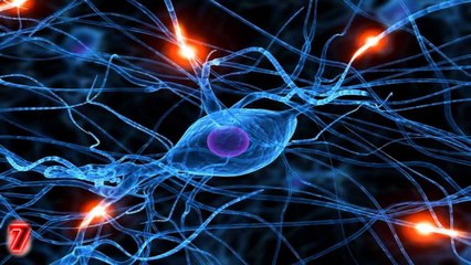 Okullarda Öğretilmeyen 20 Sıradışı Bilgi