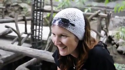 Crazy funny bird. Упоротая смешная птица общается с туристами.