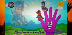 #Peppa Pig Paw Patrol Español #Patrulla Canina #Captain America Spiderman Superhero in Real Life