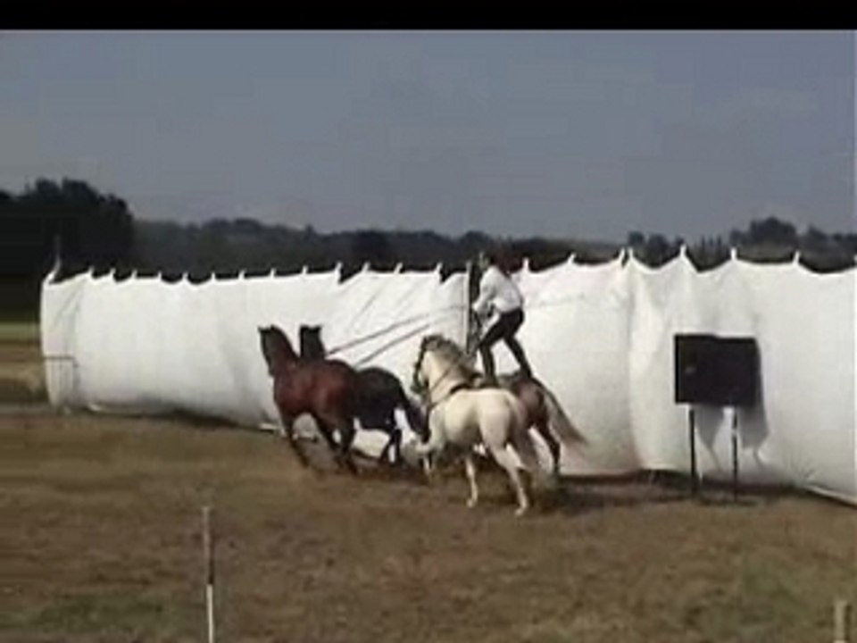 SPECTACLE EQUESTRE PATRICE RAYMOND 2007