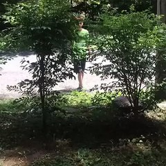 3 idiots and two hippity hops