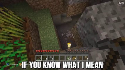 GIRL LOSES HER MIND ON MINECRAFT! (Minecraft Trolling)