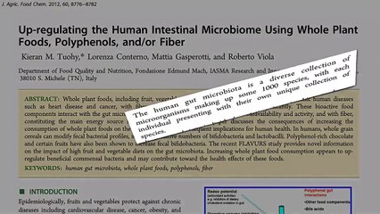 Understanding Your Gut Microbiome Enterotype