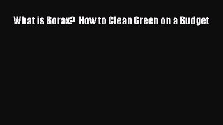Download What is Borax?  How to Clean Green on a Budget Free Books