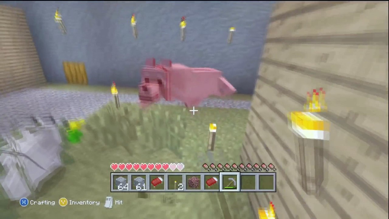 Minecraft Trolling!