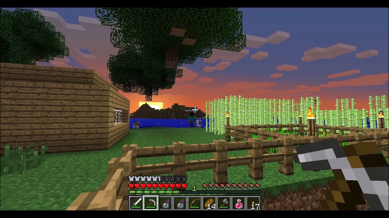 Minecraft trolling  Mob disguise- pedo chicken.