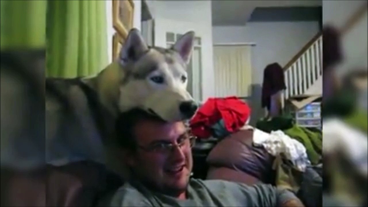 Il a un joli chapeau lui... Ahaha chien trop drole