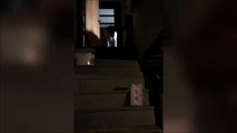 Ce chien a trouvé le moyen pour jouer tout seul.. Balle dans l'escalier