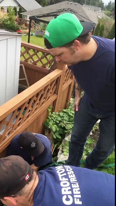 Des pompiers sauvent une biche coincée dans un fossé - beau geste