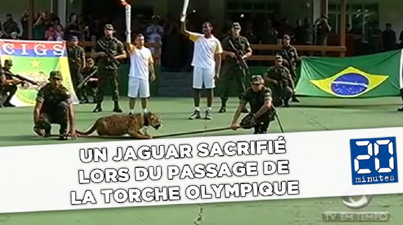 Un jaguar sacrifié lors du passage de la torche olympique
