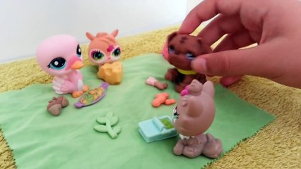 Minişler Piknikte | LPSEM miniş